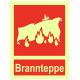 Brannskilt – brannteppe