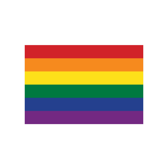Montert Pride flagg 100x60cm